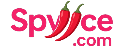 Logo Spyyce.com